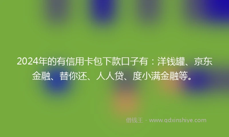 2024年的有信用卡包下款口子有：洋钱罐、京东金融、替你还、人人贷、度小满金融等。