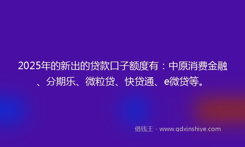 2025年的新出的贷款口子额度有：中原消费金融、分期乐、微粒贷、快贷通、e微贷等。