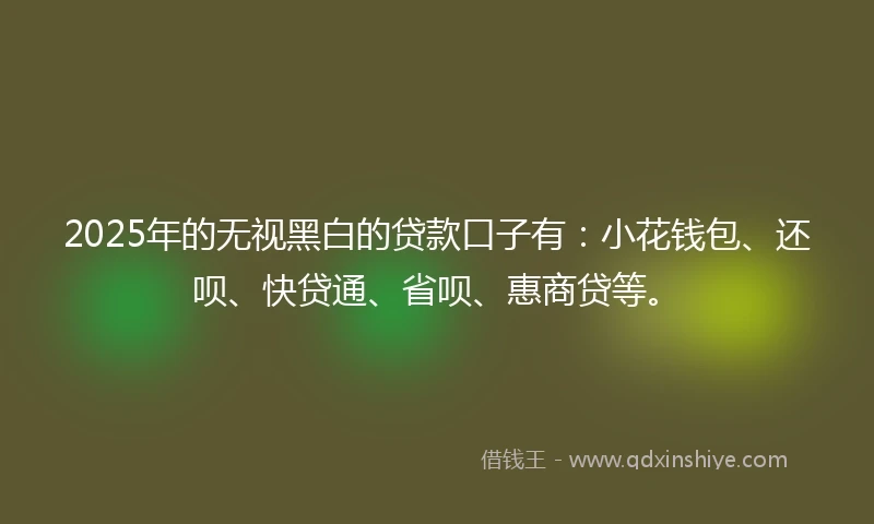 2025年的无视黑白的贷款口子有：小花钱包、还呗、快贷通、省呗、惠商贷等。