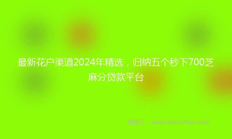 最新花户渠道2024年精选，归纳五个秒下700芝麻分贷款平台