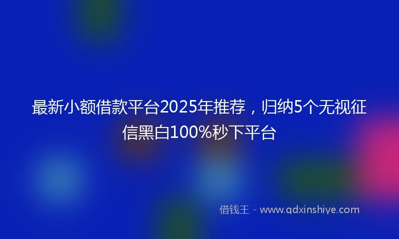 最新小额借款平台2025年推荐，归纳5个无视征信黑白100%秒下平台
