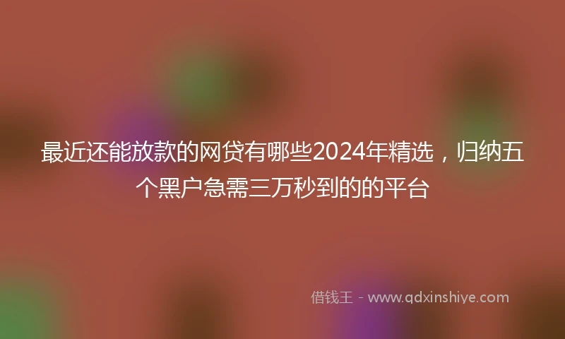 最近还能放款的网贷有哪些2024年精选，归纳五个黑户急需三万秒到的的平台