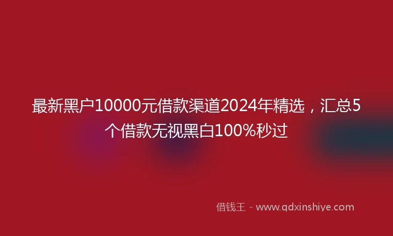 最新黑户10000元借款渠道2024年精选，汇总5个借款无视黑白100%秒过