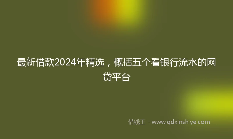 最新借款2024年精选，概括五个看银行流水的网贷平台