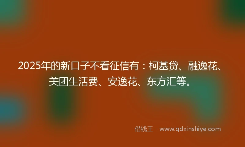 2025年的新口子不看征信有：柯基贷、融逸花、美团生活费、安逸花、东方汇等。