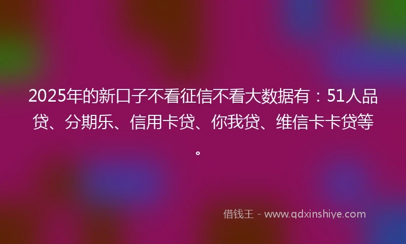 2025年的新口子不看征信不看大数据有：51人品贷、分期乐、信用卡贷、你我贷、维信卡卡贷等。