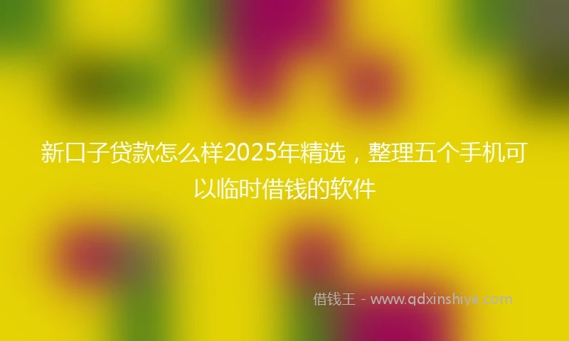 新口子贷款怎么样2025年精选，整理五个手机可以临时借钱的软件