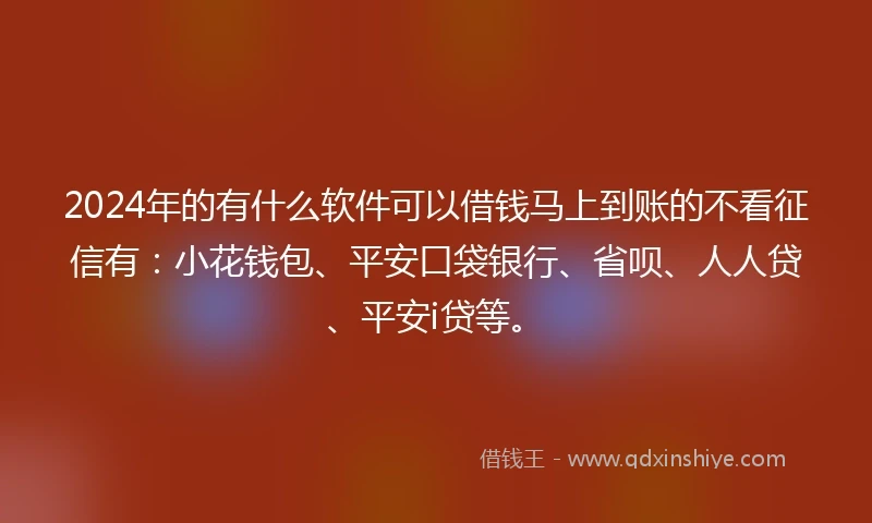 2024年的有什么软件可以借钱马上到账的不看征信有：小花钱包、平安口袋银行、省呗、人人贷、平安i贷等。