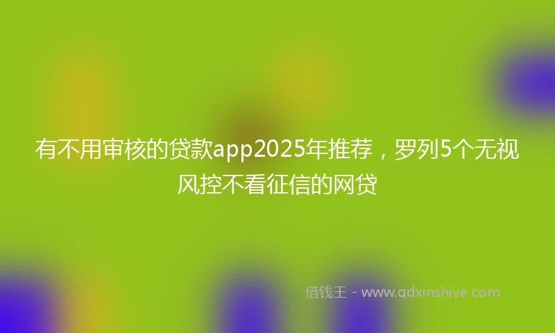 有不用审核的贷款app2025年推荐，罗列5个无视风控不看征信的网贷