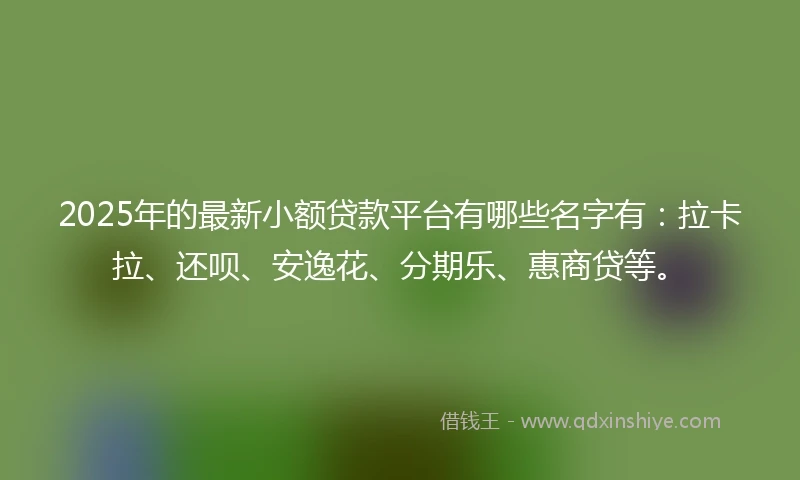2025年的最新小额贷款平台有哪些名字有：拉卡拉、还呗、安逸花、分期乐、惠商贷等。