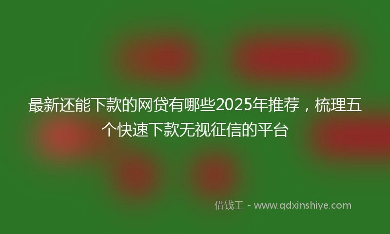 最新还能下款的网贷有哪些2025年推荐，梳理五个快速下款无视征信的平台