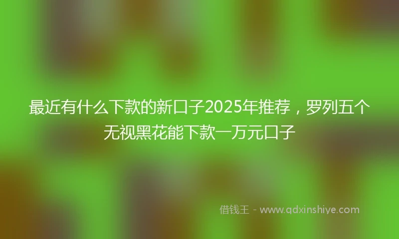 最近有什么下款的新口子2025年推荐，罗列五个无视黑花能下款一万元口子
