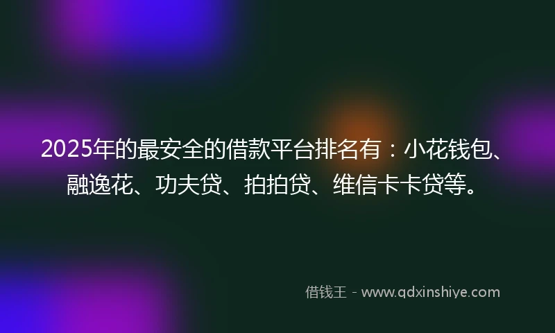 2025年的最安全的借款平台排名有：小花钱包、融逸花、功夫贷、拍拍贷、维信卡卡贷等。