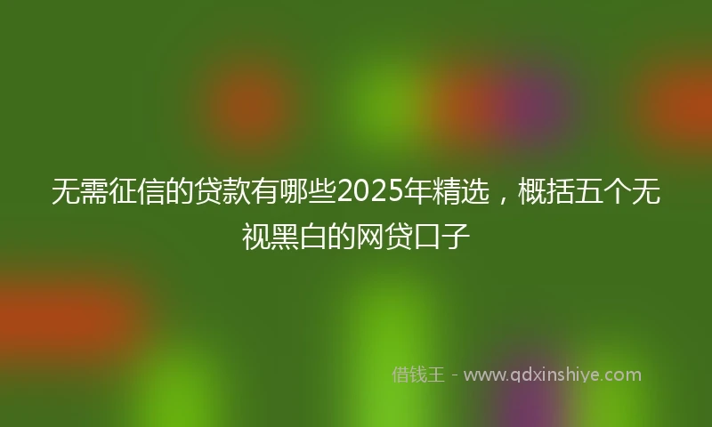 无需征信的贷款有哪些2025年精选，概括五个无视黑白的网贷口子