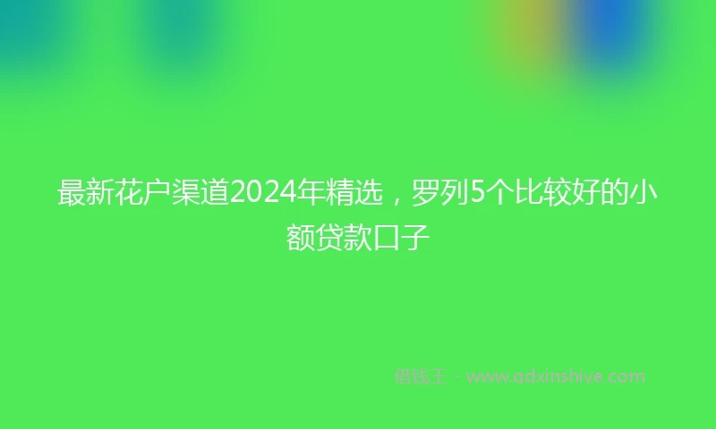 最新花户渠道2024年精选，罗列5个比较好的小额贷款口子