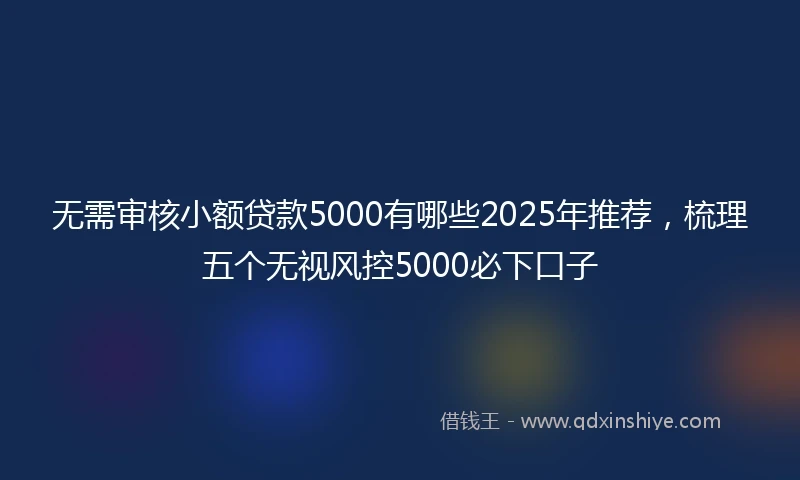 无需审核小额贷款5000有哪些2025年推荐，梳理五个无视风控5000必下口子
