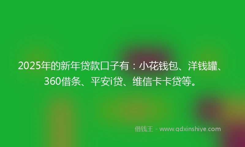 2025年的新年贷款口子有：小花钱包、洋钱罐、360借条、平安i贷、维信卡卡贷等。