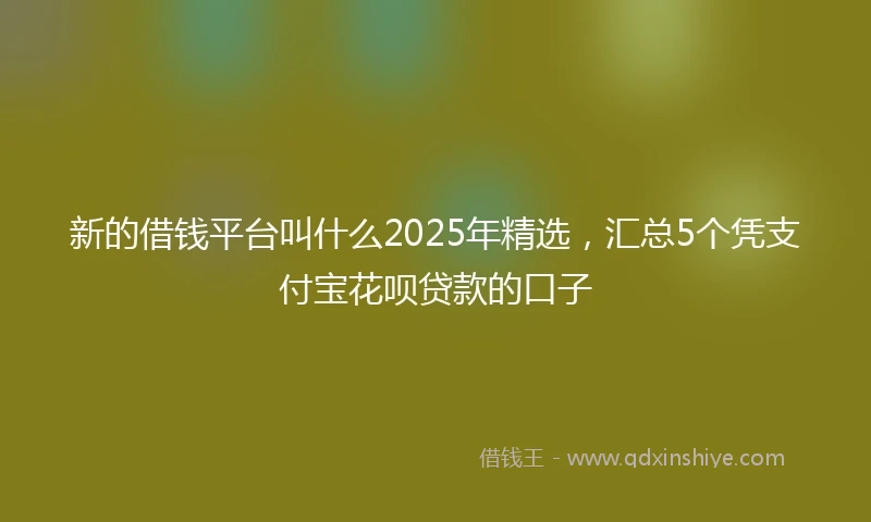 新的借钱平台叫什么2025年精选，汇总5个凭支付宝花呗贷款的口子