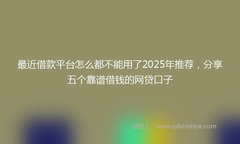 最近借款平台怎么都不能用了2025年推荐，分享五个靠谱借钱的网贷口子