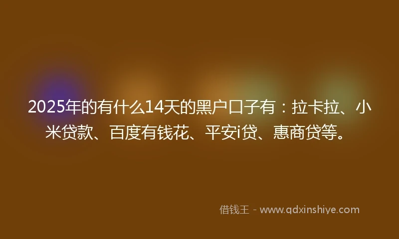 2025年的有什么14天的黑户口子有：拉卡拉、小米贷款、百度有钱花、平安i贷、惠商贷等。
