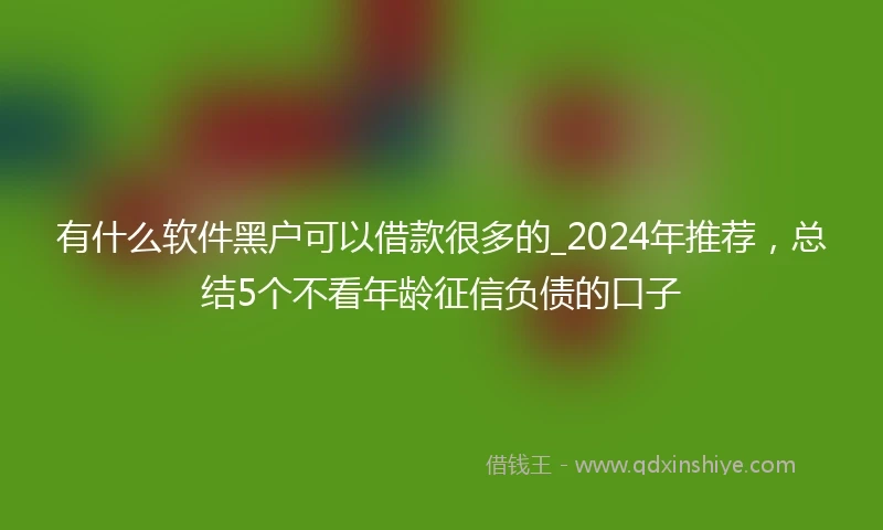 有什么软件黑户可以借款很多的_2024年推荐，总结5个不看年龄征信负债的口子