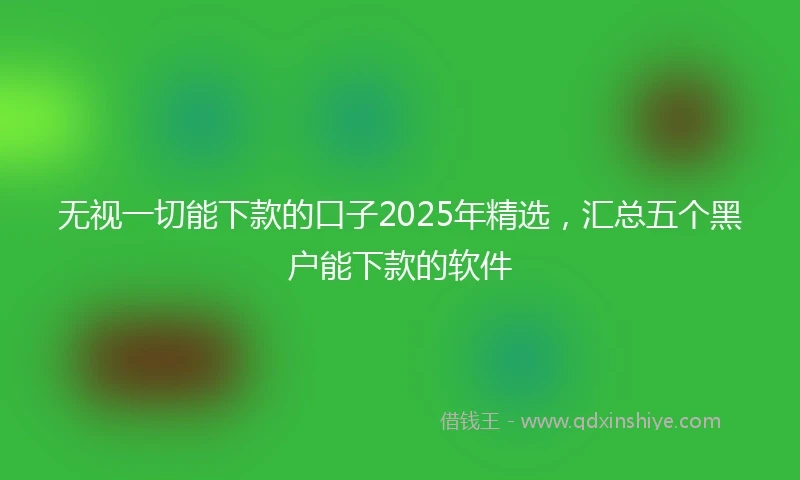 无视一切能下款的口子2025年精选，汇总五个黑户能下款的软件