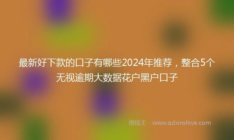 最新好下款的口子有哪些2024年推荐，整合5个无视逾期大数据花户黑户口子