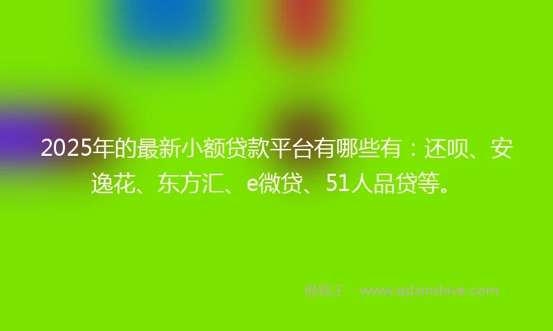 2025年的最新小额贷款平台有哪些有：还呗、安逸花、东方汇、e微贷、51人品贷等。