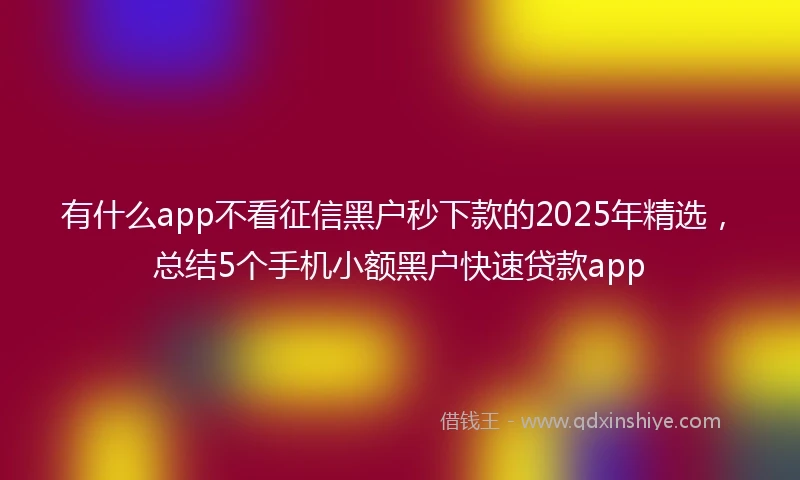 有什么app不看征信黑户秒下款的2025年精选，总结5个手机小额黑户快速贷款app