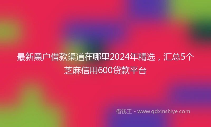 最新黑户借款渠道在哪里2024年精选，汇总5个芝麻信用600贷款平台