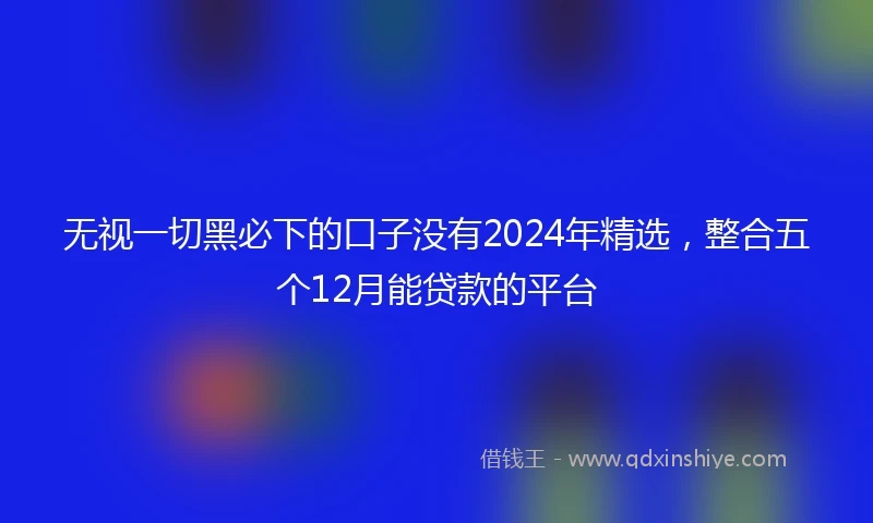 无视一切黑必下的口子没有2024年精选，整合五个12月能贷款的平台