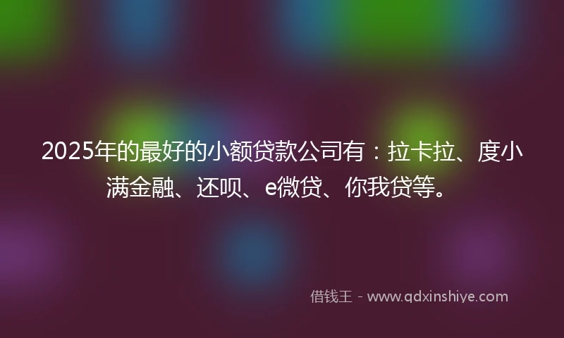 2025年的最好的小额贷款公司有：拉卡拉、度小满金融、还呗、e微贷、你我贷等。