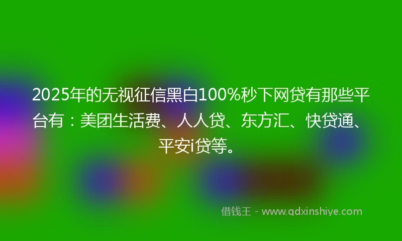2025年的无视征信黑白100%秒下网贷有那些平台有：美团生活费、人人贷、东方汇、快贷通、平安i贷等。