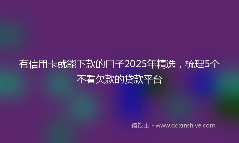 有信用卡就能下款的口子2025年精选，梳理5个不看欠款的贷款平台