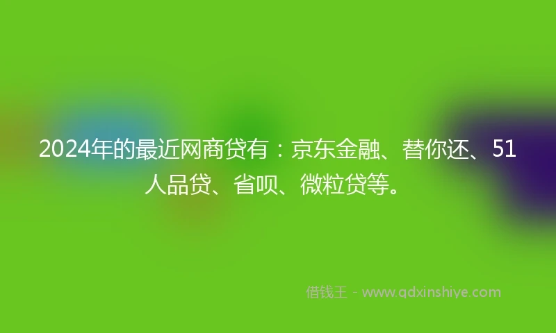 2024年的最近网商贷有：京东金融、替你还、51人品贷、省呗、微粒贷等。