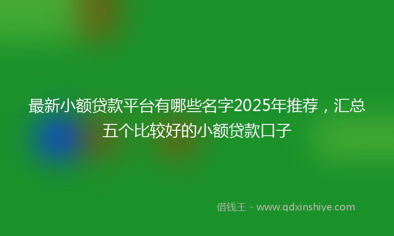 最新小额贷款平台有哪些名字2025年推荐，汇总五个比较好的小额贷款口子