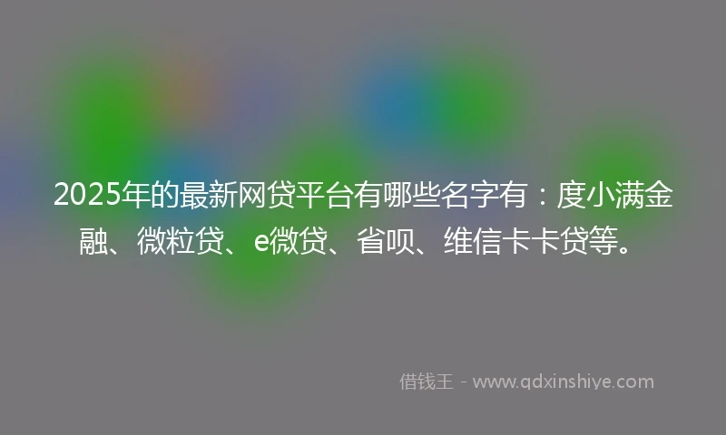 2025年的最新网贷平台有哪些名字有：度小满金融、微粒贷、e微贷、省呗、维信卡卡贷等。