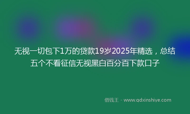 无视一切包下1万的贷款19岁2025年精选，总结五个不看征信无视黑白百分百下款口子