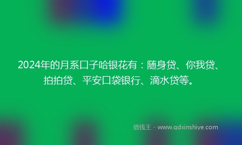 2024年的月系口子哈银花有:随身贷、你我贷、拍拍贷、平安口袋银行、滴水贷等。