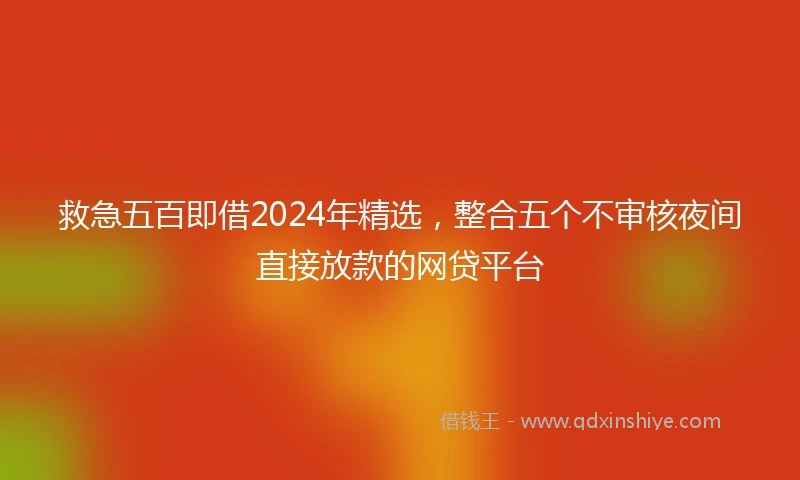 救急五百即借2024年精选，整合五个不审核夜间直接放款的网贷平台