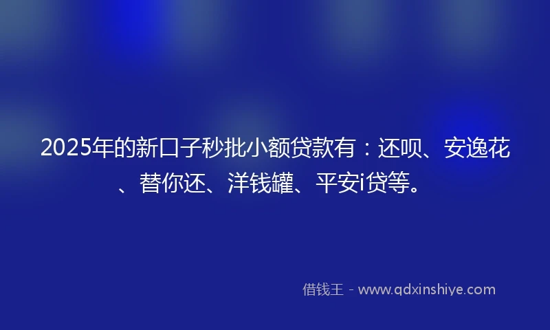 2025年的新口子秒批小额贷款有：还呗、安逸花、替你还、洋钱罐、平安i贷等。
