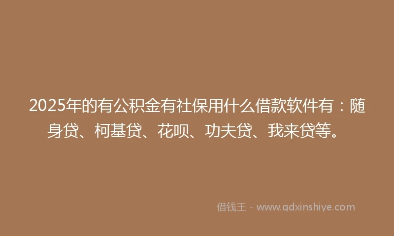 2025年的有公积金有社保用什么借款软件有：随身贷、柯基贷、花呗、功夫贷、我来贷等。