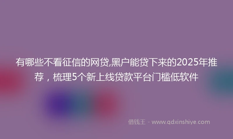 有哪些不看征信的网贷,黑户能贷下来的2025年推荐，梳理5个新上线贷款平台门槛低软件
