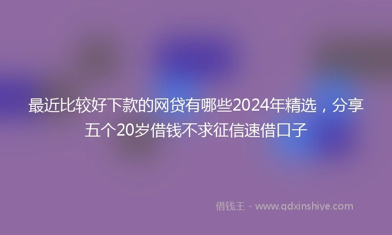 最近比较好下款的网贷有哪些2024年精选，分享五个20岁借钱不求征信速借口子