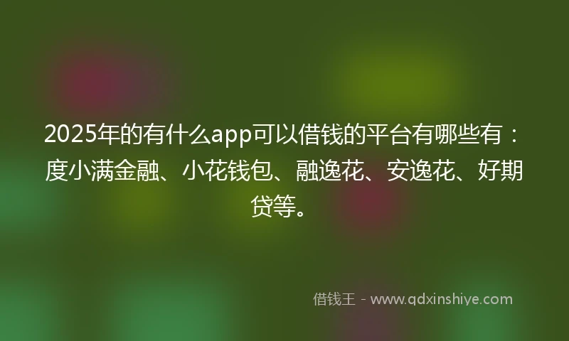 2025年的有什么app可以借钱的平台有哪些有:度小满金融、小花钱包、融逸花、安逸花、好期贷等。