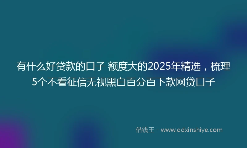 有什么好贷款的口子 额度大的2025年精选，梳理5个不看征信无视黑白百分百下款网贷口子