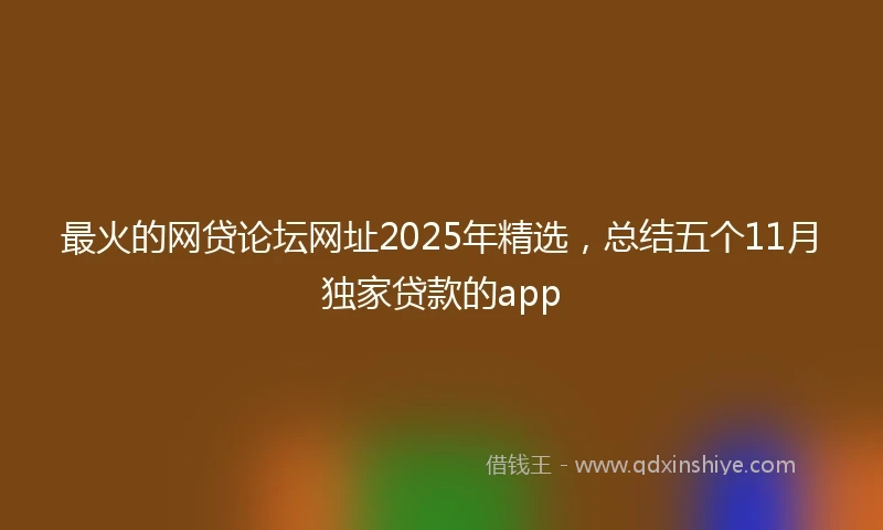 最火的网贷论坛网址2025年精选，总结五个11月独家贷款的app