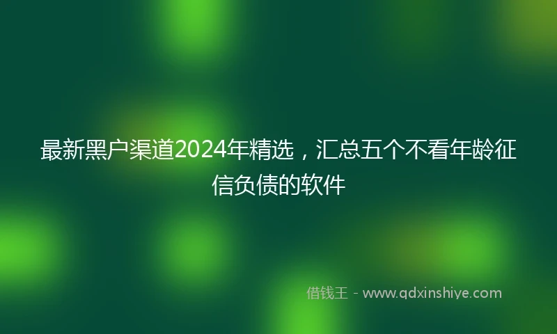 最新黑户渠道2024年精选，汇总五个不看年龄征信负债的软件