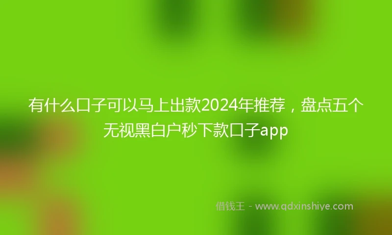 有什么口子可以马上出款2024年推荐，盘点五个无视黑白户秒下款口子app