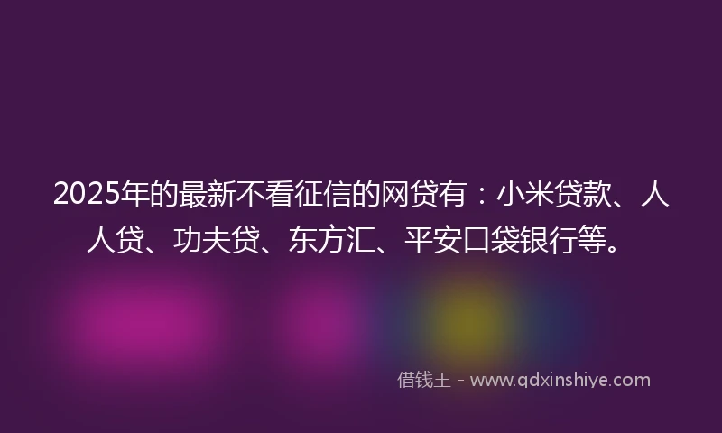 2025年的最新不看征信的网贷有：小米贷款、人人贷、功夫贷、东方汇、平安口袋银行等。